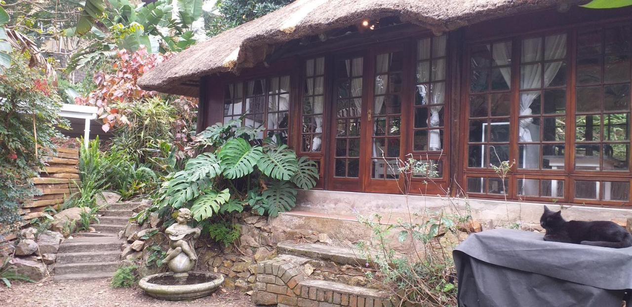Thrush Nest Durban Acomodação com café da manhã Pinetown Exterior foto